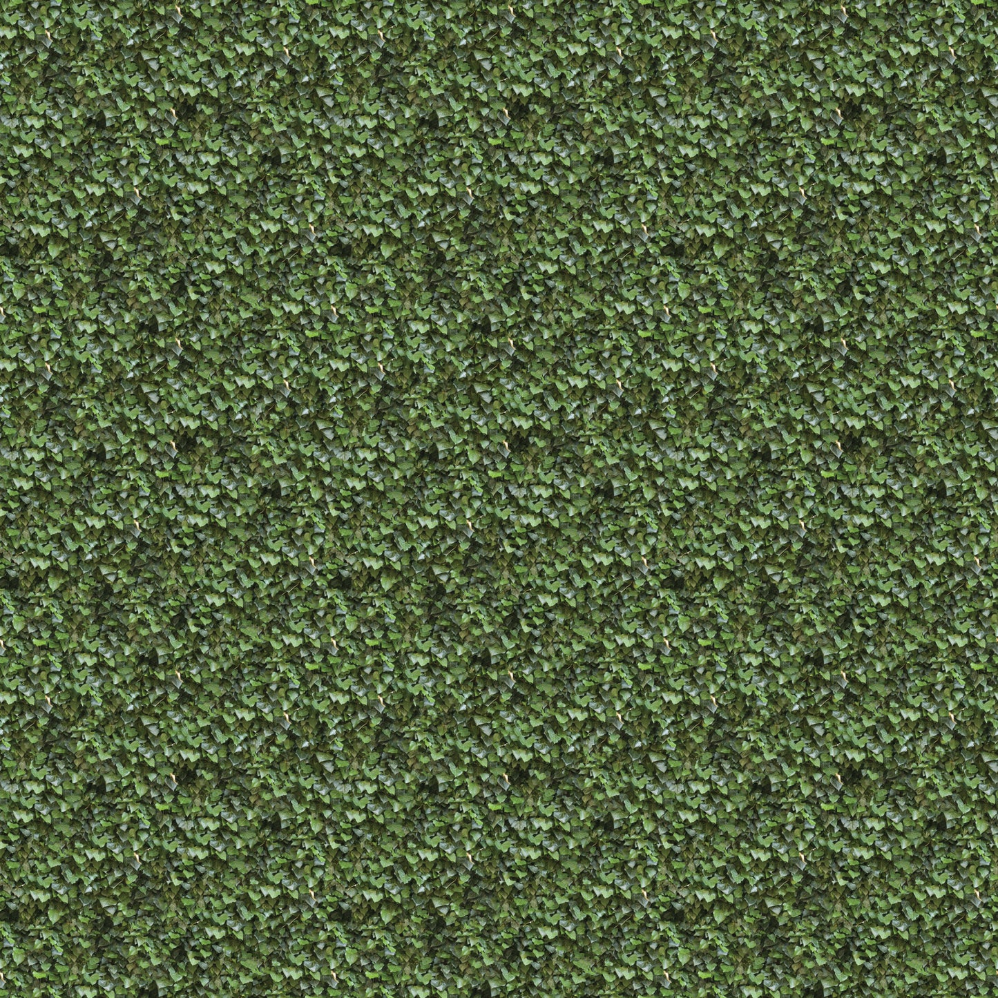 Print Sample - Greenery 001